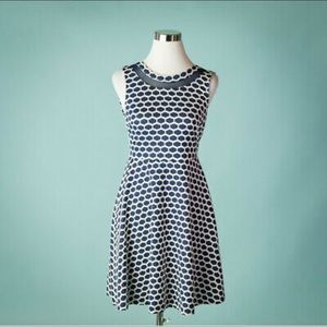 Textured Geometric Fit and Flare Knit Dress